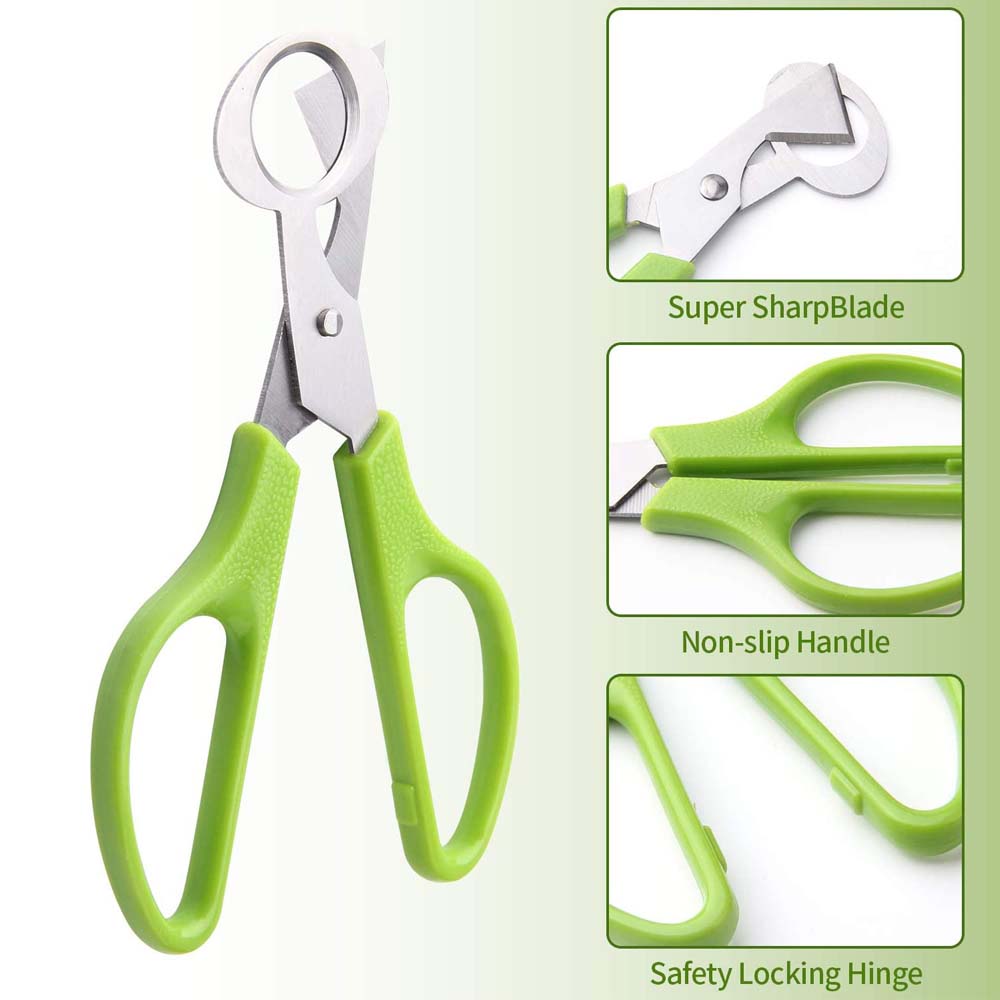 3Pcs Quail Egg Cutter Scissors - Kitchen Shears In Baking avis et prix
