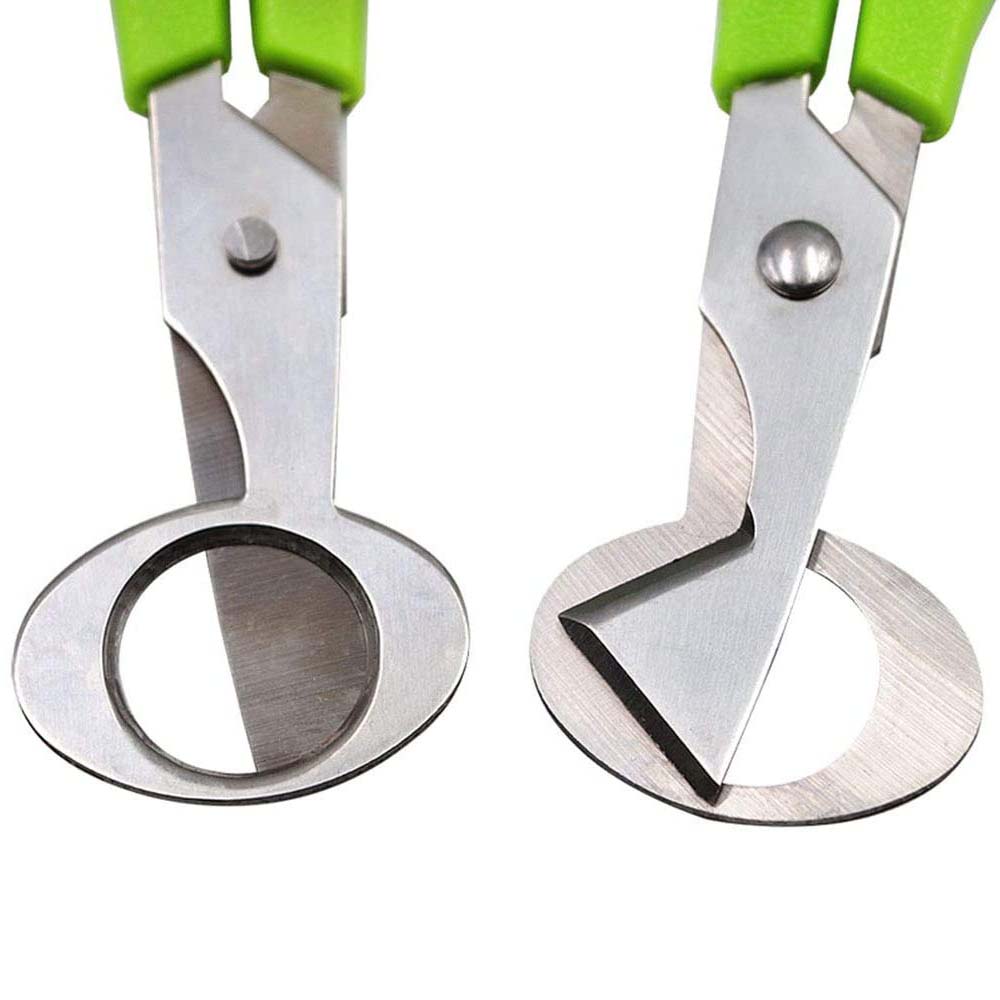3Pcs Quail Egg Cutter Scissors - Kitchen Shears In Baking avis et prix